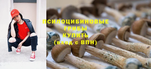 каннабис Алексеевка