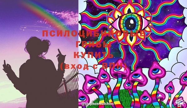 сатива Алексин